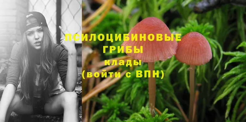 мориарти какой сайт  Ленинск  Галлюциногенные грибы Psilocybine cubensis 